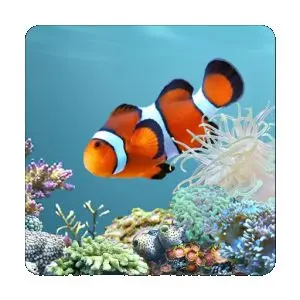aquarium